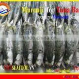 FROZEN MUROAJI FOR TUNA BAIT thumbnail-4