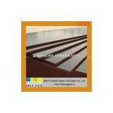 Factory Directly Sale Germany Two Times Hot Pressing 1220*2440mm WBP Plywood