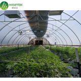 Easily Installed Galvanized Steel Frame Fully Automated Light Deprivation Greenhouse thumbnail-3