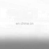 DXDZ-250S HUALIAN Pillow Type Automatic Horizontal Packaging Machine