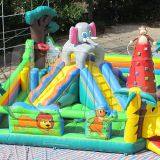 CH Funny Inflatable Bouncer Combo Commercial Inflatable Playground With Slide thumbnail-5
