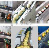 Мойка и сортировочная машина для свежих овощей и фруктов по заводской цене thumbnail-3