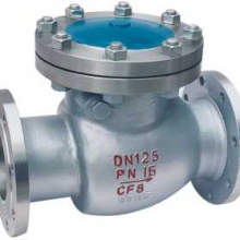 Swing Check Valve