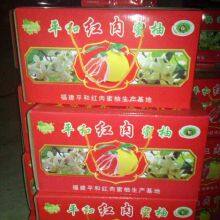 Color Pomelo (shaddock) thumbnail-5
