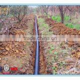 Water Supply Ppr Tube Factory Price thumbnail-2