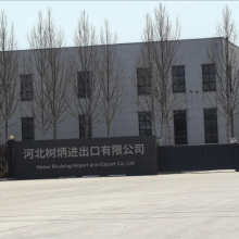 Hebei Shubing Import & Export Co., Ltd. company overview - view 1 thumbnail