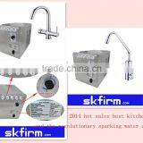 Brass Material 5 in 1 Tap 5 Way Faucet Delivery Ro Filter Water Kitchen Mixer And Soda Dispenser