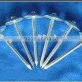 Umbrella Head Roofing Nail With Smooth Shank Factory