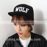 Fashion Sports Cap