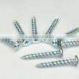 Pan Head Self Tapping Screw White Zinc Plated in Best-selling thumbnail-4