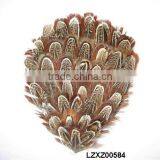 Ringneck Church Window Pad LZXZ00584 thumbnail-1