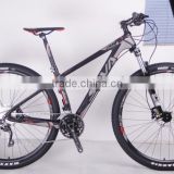 30S Carbon Fiber mountain bike 29er