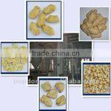Textured Soya Protein Machine SPH-90