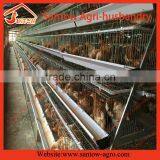 Best sale design poultry egg layer cage