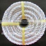PP Danline Rope