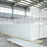 Hot Sale Ice Bin Cold Room Integrative Design in Freezer