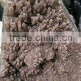 Nature Rare Crystal Cluster/druse for Sale