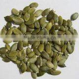 PUMPKIN SEEDS thumbnail-4