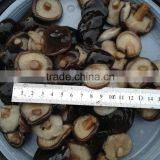 Hot Sales IQF Shiitake Mushroom With Best Price thumbnail-5