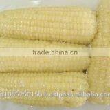 Frozen Steamed Corn thumbnail-2