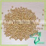 Non-gmo Soybeans thumbnail-2