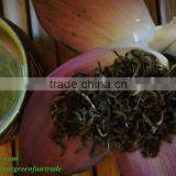 The Best Plain Green Shan Tea