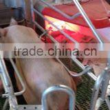 Infrared Heat Lamp for Baby Pig in Farrowing Creat thumbnail-1