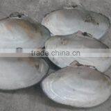 China Freshwater Shell Material Raw Mother of Pearl River Shells
