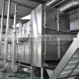 Apricot Multiple layer continuous type mesh belt dryer