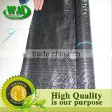 Agricultural Black Plastic Ground Cover thumbnail-2