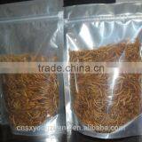 Good Quality Mealworms for Pet Birds ;Yongzheng Mealworms thumbnail-3
