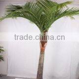 SJ2001205 Home Indoor Using Cocount Plam Tree Factory Outlet thumbnail-4