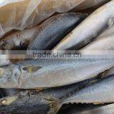 Seafood Frozen Fish Pacific/Atlantic Mackerel thumbnail-1
