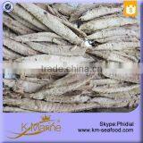 2015 Newly Hot Sale Factory Supply Health Food Fresh Bonito Loin thumbnail-2