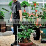 4 Wheels Hand Pallet Trucks thumbnail-2