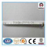 Competitive 45# Carbon Steel Concrete Nail thumbnail-1