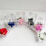 Fashionable And Natural Real Rose Preserved Flowers Wholesale With Acrylic Ring Box Decoration thumbnail-1