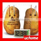 UCHOME Green Science DIY Potato Battery Clock Set thumbnail-3