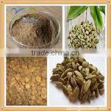 Datura Stramonium Extract thumbnail-2