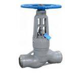 The power station Globe valve