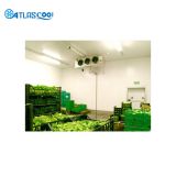 Fruit and Vegetable Cold Storage Rooms