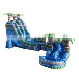 Commercial Inflatable Slip n Slide Giant Inflatable Tropical Cyclone Water Slide For Sale thumbnail-1