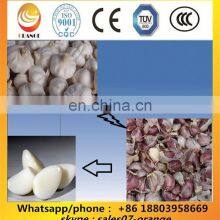 Most Competitive Garlic Peeling Machine Price / Garlic Clove Separator and Peeler Machine thumbnail-2