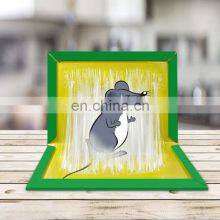 Good Quality Factory Directly Rat Sticky Trap With Lowest Price thumbnail-4