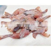 Frozen Frog Cleaned Headless & Skinless thumbnail-1