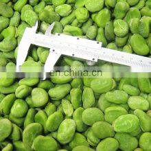 Frozen Fresh Veggies IQF Green Broad Bean thumbnail-5