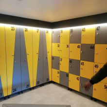 Compact HPL Laminate Lockers for Staff Workshop Durable Cabinet Solution thumbnail-2