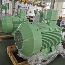 Rare Earth Permanent Magnet Synchronous Motor, Environmentally Friendly and Energy-saving Motor, Trend Product, Tyb-90s L-4/1.1kw 1.5kw thumbnail-4