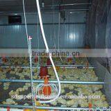 Automatic Broiler Breeder Farming Equipment thumbnail-1