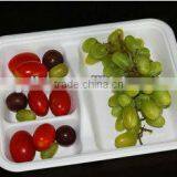 100% Biodegaradable Trays in Food Packaging